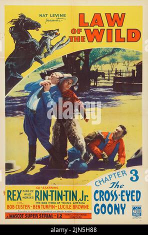 Affiche du film vintage - Rex et Rin-Tin-Tin - Law of the Wild (Mascot, 1934) - « The Cross-Eyed Goony. » Exploit. Ben Turpin Banque D'Images