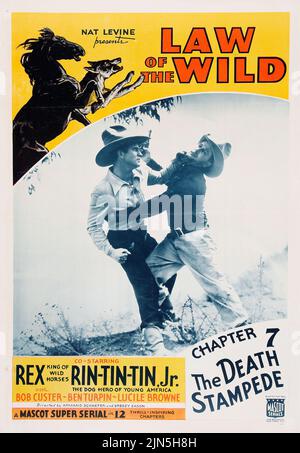 Affiche de film vintage - Rex King of Wild Horses and Rin-Tin-Tin - Law of the Wild (Mascot, 1934). Chapitre 7 - « le Stampede de la mort ». Banque D'Images