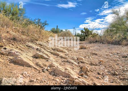 Sentier rocheux sec avec arbustes sauvages et cactus sur le côté à Tucson, Arizona. Sentier de terre rugueux avec une vue de l'oreille de lapin cactus contre le ciel à la ba Banque D'Images