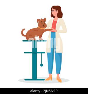 Rendez-vous vétérinaire. Un vétérinaire féminin traite un chien. Soins aux animaux, diagnostic médical des animaux. Illustration vectorielle plate Illustration de Vecteur