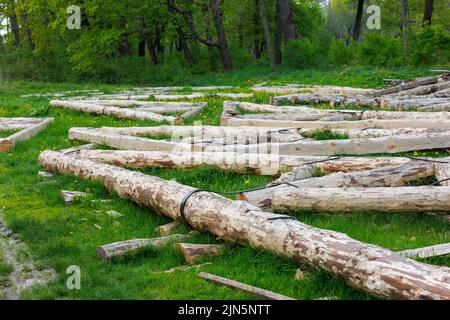 connexion à bande en acier forgé de poutres en bois pour cadre de poutre de support de toit posé sur l'herbe verte le jour de l'été Banque D'Images