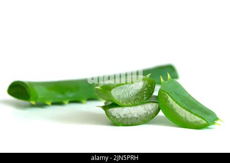 Aloe Vera tranché sur fond blanc Banque D'Images