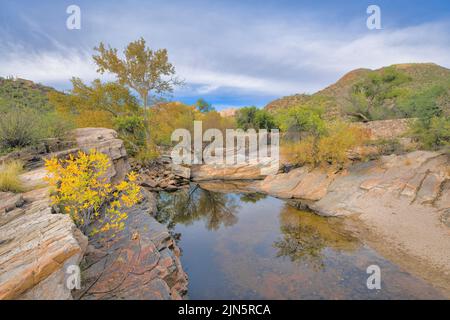 Ruisseau Sabino avec rive rocheuse au parc national de Sabino Canyon à Tucson, Arizona. Ruisseau avec eau réfléchissante au milieu de la nature sauvage avec vue sur mountai Banque D'Images