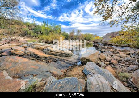 Ruisseau Sabino avec eau réfléchissante au parc national de Sabino Canyon à Tucson, Arizona. Ruisseau au milieu d'une terre sèche avec des arbres et des cataccuses de saguaro Banque D'Images