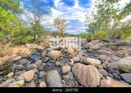 Desert creek au parc national de Sabino Canyon à Tucson, Arizona. Crique presque sèche avec des rochers et une vue sur les arbres sur un désert sauvage contre le ciel ba Banque D'Images