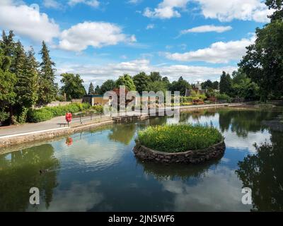 Piscine de cygnes dans Priory Park dans le Great Malvern Worcestershire Angleterre Banque D'Images