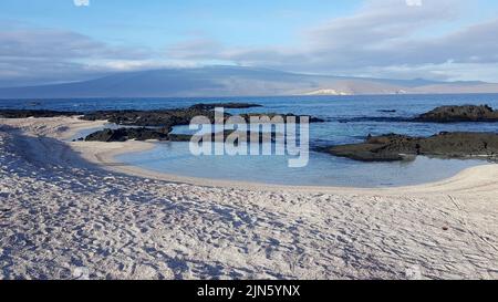 Plage de sable vide et rochers noirs sur l'île de Fernandina, Galapagos Banque D'Images