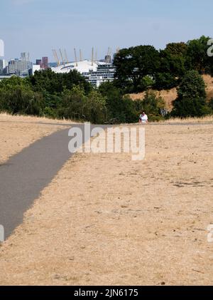 Greenwich Park, Londres, Royaume-Uni. 9th août 2022. Avertissements de sécheresse au Royaume-Uni: Herbe parchée dans Greenwich Park. Crédit : Matthew Chattle/Alay Live News Banque D'Images