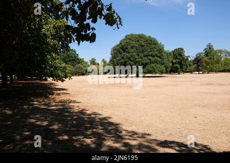 Greenwich Park, Londres, Royaume-Uni. 9th août 2022. Avertissements de sécheresse au Royaume-Uni: Herbe parchée dans Greenwich Park. Crédit : Matthew Chattle/Alay Live News Banque D'Images