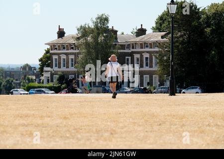 Blackheath, Londres, Royaume-Uni. 9th août 2022. Avertissements de sécheresse au Royaume-Uni:: Herbe parchée sur Blackheath. Crédit : Matthew Chattle/Alay Live News Banque D'Images