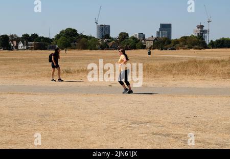 Blackheath, Londres, Royaume-Uni. 9th août 2022. Avertissements de sécheresse au Royaume-Uni:: Herbe parchée sur Blackheath. Crédit : Matthew Chattle/Alay Live News Banque D'Images