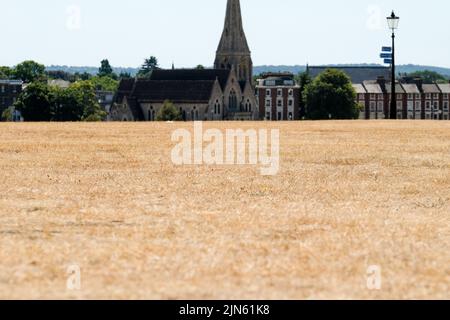 Blackheath, Londres, Royaume-Uni. 9th août 2022. Avertissements de sécheresse au Royaume-Uni:: Herbe parchée sur Blackheath. Crédit : Matthew Chattle/Alay Live News Banque D'Images