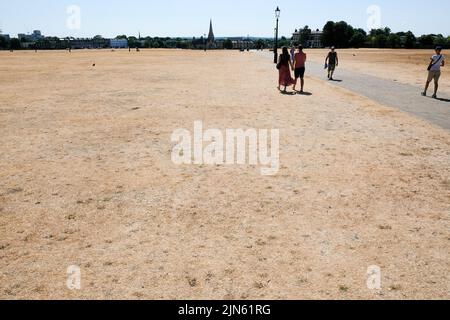 Blackheath, Londres, Royaume-Uni. 9th août 2022. Avertissements de sécheresse au Royaume-Uni:: Herbe parchée sur Blackheath. Crédit : Matthew Chattle/Alay Live News Banque D'Images