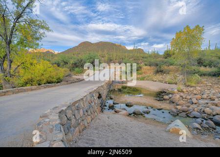 Pont en pierre avec vue sur le champ de saguaros et la montagne au parc national de Sabino Canyon à Tucson, Arizona Banque D'Images