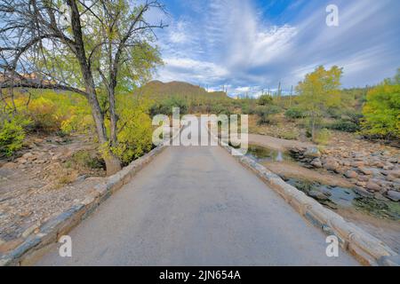 Pont de pierre menant à un champ de cactus saguaro dans le parc national de Sabino Canyon à Tucson, Arizona Banque D'Images