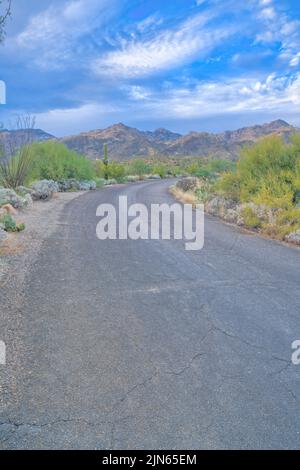 Route du parc national de Sabino Canyon à Tucson, Arizona Banque D'Images