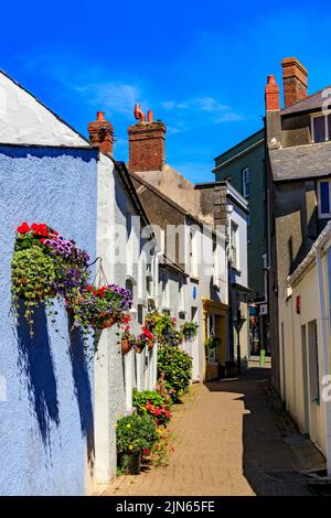 Une rangée de cottages colorés avec paniers suspendus à CoB Lane, Tenby, Pembrokeshire, pays de Galles, Royaume-Uni Banque D'Images