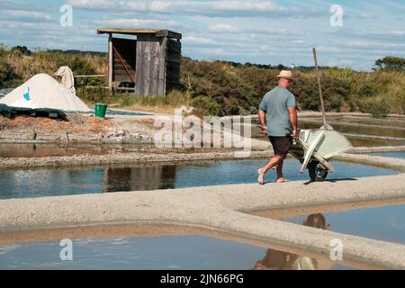 L'homme des marais salants travaille à Guérande, Loire Atlantique, France. Banque D'Images