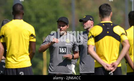 Ville de Dortmund, Allemagne. 09th août 2022. Firo : 9 août 2022, football, 1st Bundesliga, saison 2022/2023, BVB, Borussia Dortmund, entraînement, entraîneur Edin TERZIC, BVB, Crédit Gesture : nouvelles en direct dpa/Alay Banque D'Images