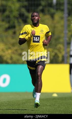 Ville de Dortmund, Allemagne. 09th août 2022. Firo : 9 août 2022, football, 1st Bundesliga, saison 2022/2023, BVB, Borussia Dortmund, formation, nouvelle signature Anthony MODESTE, BVB, crédit: dpa/Alay Live News Banque D'Images