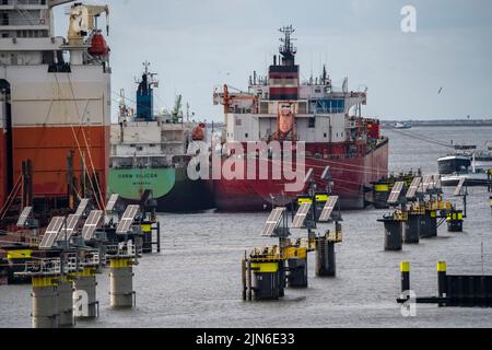 Petroleumhaven, les pétroliers attendant de nouveaux chargements dans le port d'Europoort, amarrent des lignes comme les dauphins numériques, alimentés par le photovoltaïque, ils donnent Banque D'Images