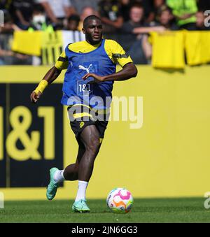 Ville de Dortmund, Allemagne. 09th août 2022. Firo : 9 août 2022, football, 1st Bundesliga, saison 2022/2023, BVB, Borussia Dortmund, formation, nouvelle signature Anthony MODESTE, crédit: dpa/Alay Live News Banque D'Images