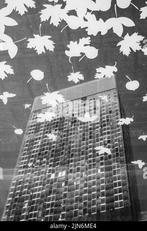 Une image en noir et blanc de la Tour Beethose, Manchester, au Royaume-Uni, derrière un verre décoré de feuilles illustrées. Banque D'Images