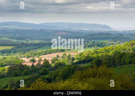 La vue de Cothelstone Hill dans les collines de Quantock vers Minehead et le parc national Exmoor au-delà au printemps, Somerset, Angleterre. Banque D'Images