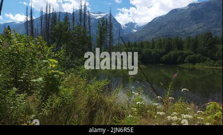 Une vue panoramique sur une belle rivière entourée de forêts et de montagnes à Squamish, en Colombie-Britannique Banque D'Images