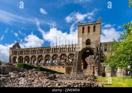 Jedburgh, Royaume-Uni - 18 juin 2022 : vue sur les ruines de l'abbaye de Jedburgh en Auguste Banque D'Images