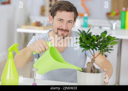 Un homme d'arroser les feuilles bonsai Banque D'Images