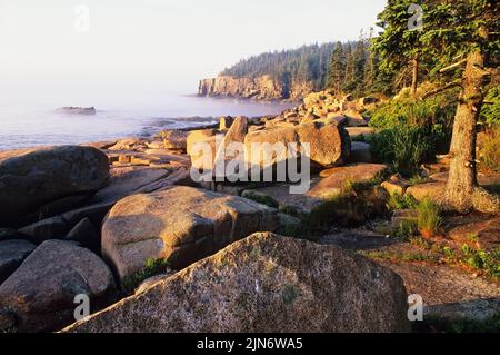 Parc national Acadia, Maine. Vue panoramique sur les falaises d'Otter sous la lumière du matin. Banque D'Images