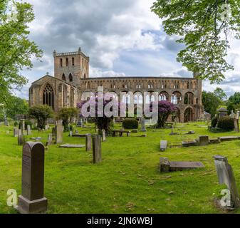 Jedburgh, Royaume-Uni - 18 juin 2022 : vue sur les ruines et le cimetière Augustins de l'abbaye de Jedburgh dans le sud de l'Écosse Banque D'Images