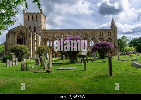 Jedburgh, Royaume-Uni - 18 juin 2022 : vue sur les ruines et le cimetière Augustins de l'abbaye de Jedburgh dans le sud de l'Écosse Banque D'Images