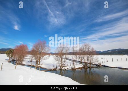 Cours d'eau en forêt en hiver enneigé, Bolu - Turquie Banque D'Images