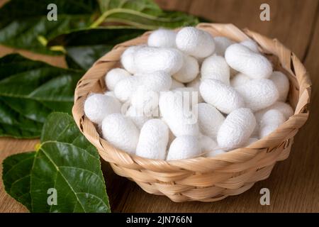 Écorce de cocons de ver à soie blanc. C'est la source de fil de soie et de tissu de soie Banque D'Images