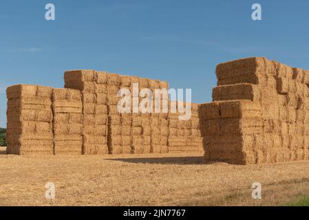 Hampshire, Angleterre, Royaume-Uni. 2022. Des balles de paille emballées haut dans une ferme du nord du Hampshire attendent le transport Banque D'Images