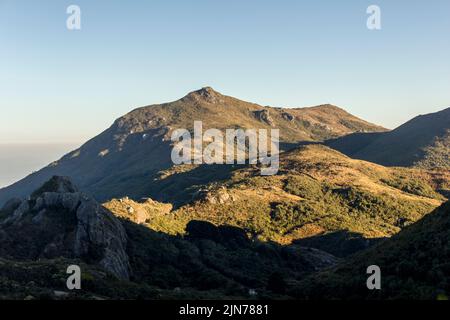 Par les sentiers de Itatiaia Banque D'Images