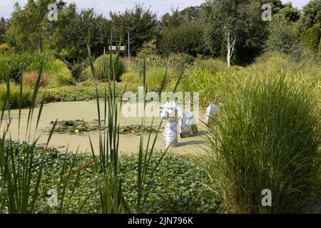 Une sculpture de serpent de mer faite de canettes de soda jetées, exposée au jardin de l'Oregon à Silverton, Oregon. Banque D'Images