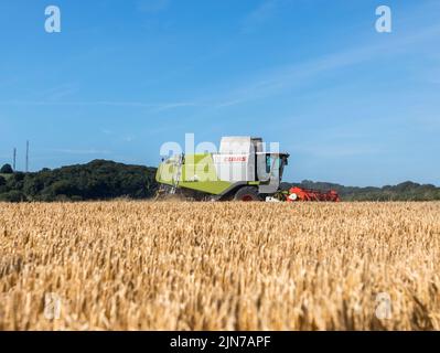 Graball Bay, Crosshaven, Cork, Irlande. 09th août 2022. L'entrepreneur agricole Richard Gotto récolte de l'orge de printemps dans la ferme de Gordon Bryan à Graball Bay, Crosaven, Co. Cork, Irlande. - Crédit; David Creedon / Alany Live News Banque D'Images