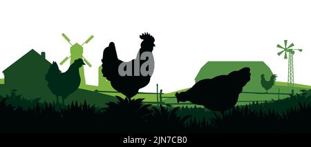 Poulets en pâturage. Silhouette de l'image. Animaux de la ferme. Volaille domestique pour obtenir des oeufs. Paysage rural avec maison de ferme. Isolé sur fond blanc. VEC Illustration de Vecteur