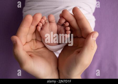 Un père et une mère tiennent les pieds d'un nouveau-né dans une couverture blanche sur un fond violet. Banque D'Images