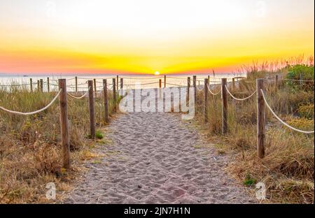 Lever du soleil à Pals, plage de sable et pelouse sauvage des dunes à Pals, Catalogne, Espagne Banque D'Images