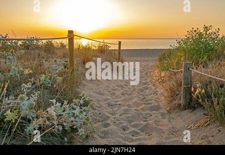 Lever du soleil à Pals, plage de sable et dune sauvage à Pals, Catalogne, Espagne Banque D'Images