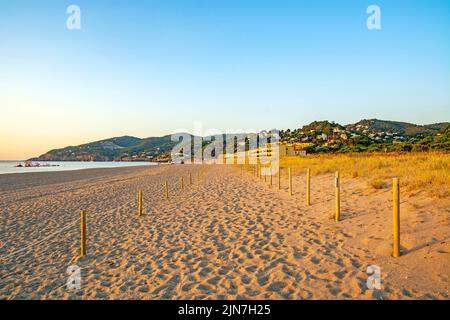 Lever du soleil à Pals, plage de sable et dune sauvage à Pals, Catalogne, Espagne Banque D'Images