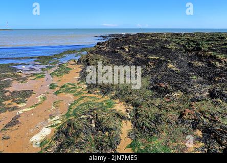 Plage de sable et rochers couverts d'algues à Broadlairs Banque D'Images