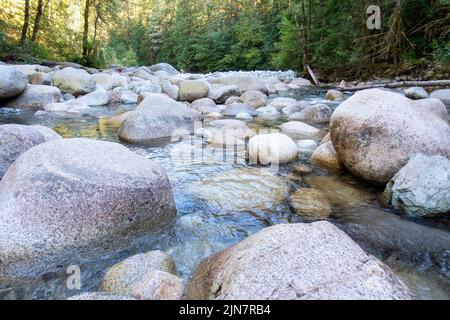 Lynn Canyon Valley River, dans le nord de Vancouver Banque D'Images