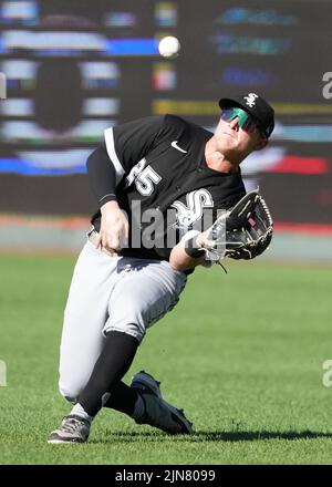 Kansas City, États-Unis. 09 AOÛT 2022 : Chicago White Sox Andrew Vaughn (25) fait une prise dans le champ droit au Kauffman Stadium Kansas City, Missouri. Les Royals battent le Sox blanc 4-2 Jon Robichaud/CSM. Crédit : CAL Sport Media/Alay Live News Banque D'Images