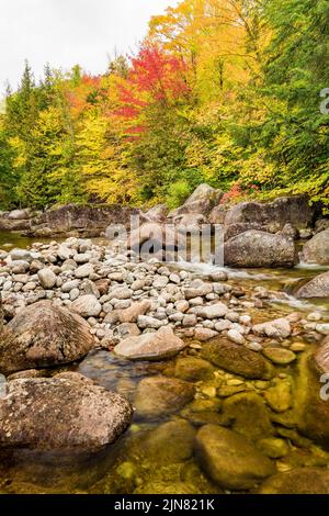 Bouquet River en automne, Adirondack Park, comté d'Essex, New York Banque D'Images