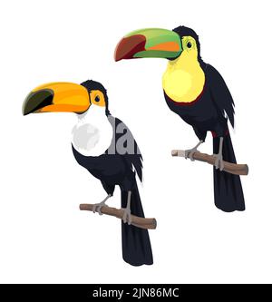 Caricature d'oiseaux toucan mexicains isolés. Mexique, Costa Rica ou Amérique du Sud faune naturelle sauvage, amazonian forêt tropicale toucan oiseau avec bec long, zoo exotique animal de jungle tropicale Illustration de Vecteur